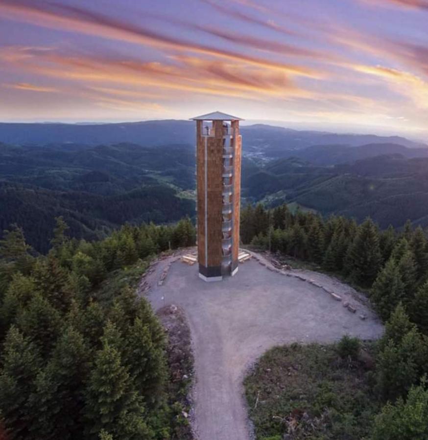Hotel Gaestehaus Haaser Bad Peterstal-Griesbach Esterno foto