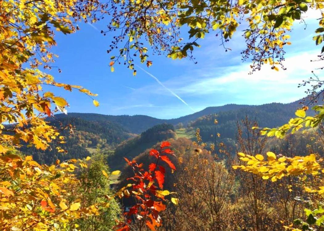Hotel Gaestehaus Haaser Bad Peterstal-Griesbach Esterno foto