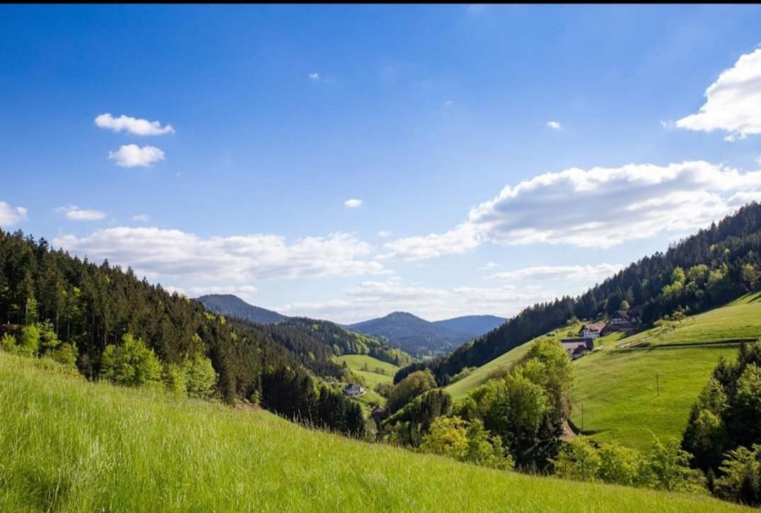 Hotel Gaestehaus Haaser Bad Peterstal-Griesbach Esterno foto