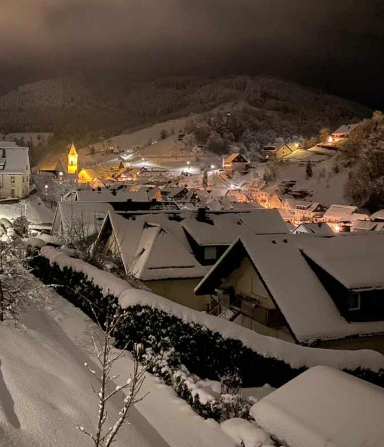 Hotel Gaestehaus Haaser Bad Peterstal-Griesbach Esterno foto