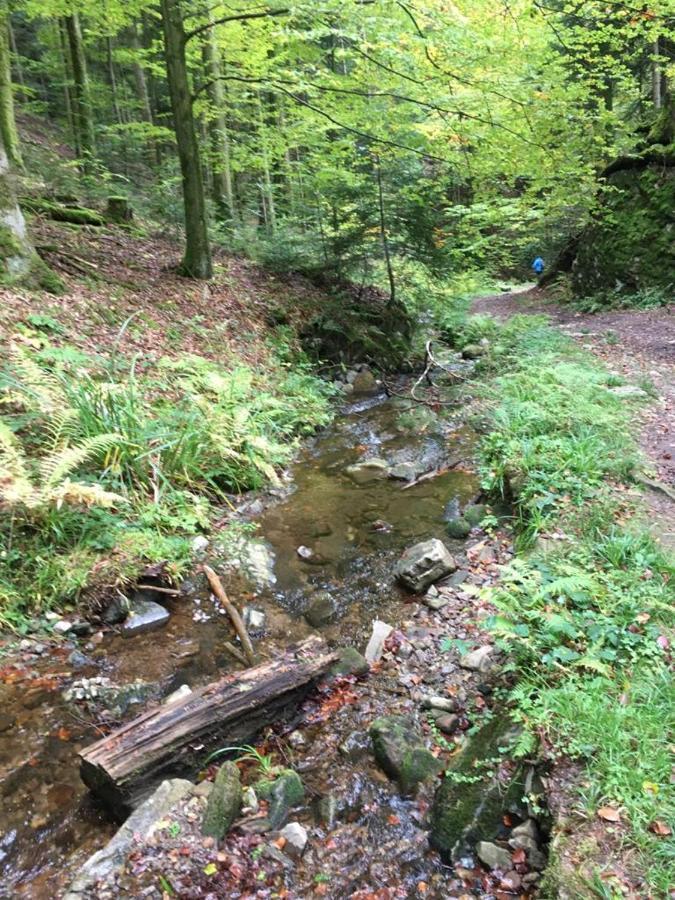 Hotel Gaestehaus Haaser Bad Peterstal-Griesbach Esterno foto