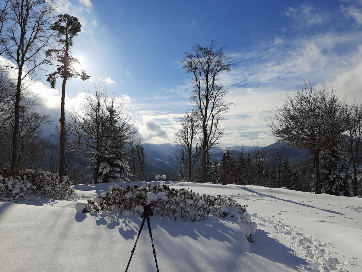 Hotel Gaestehaus Haaser Bad Peterstal-Griesbach Esterno foto
