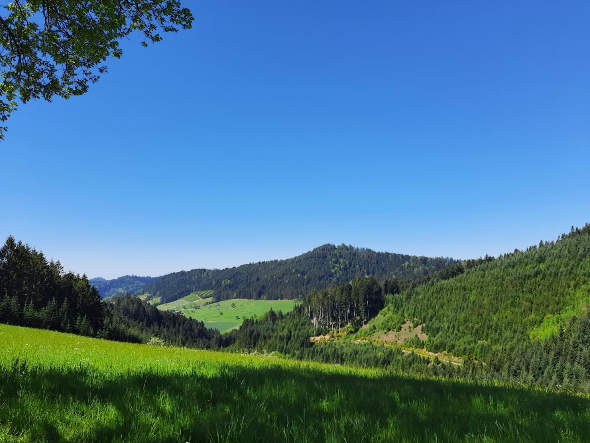 Hotel Gaestehaus Haaser Bad Peterstal-Griesbach Esterno foto