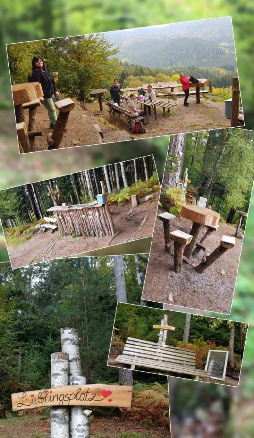 Hotel Gaestehaus Haaser Bad Peterstal-Griesbach Esterno foto
