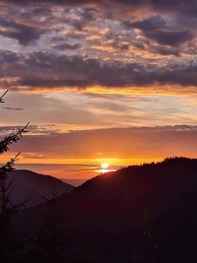 Hotel Gaestehaus Haaser Bad Peterstal-Griesbach Esterno foto