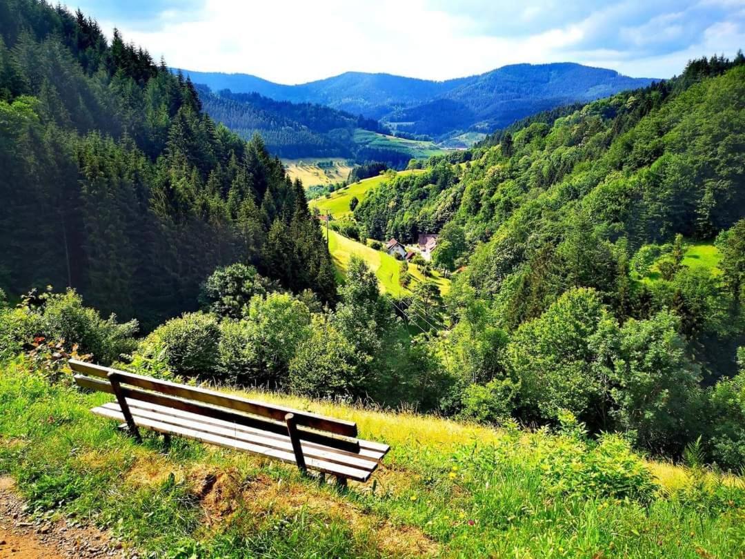 Hotel Gaestehaus Haaser Bad Peterstal-Griesbach Esterno foto