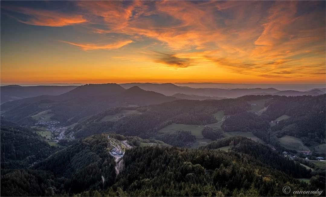 Hotel Gaestehaus Haaser Bad Peterstal-Griesbach Esterno foto