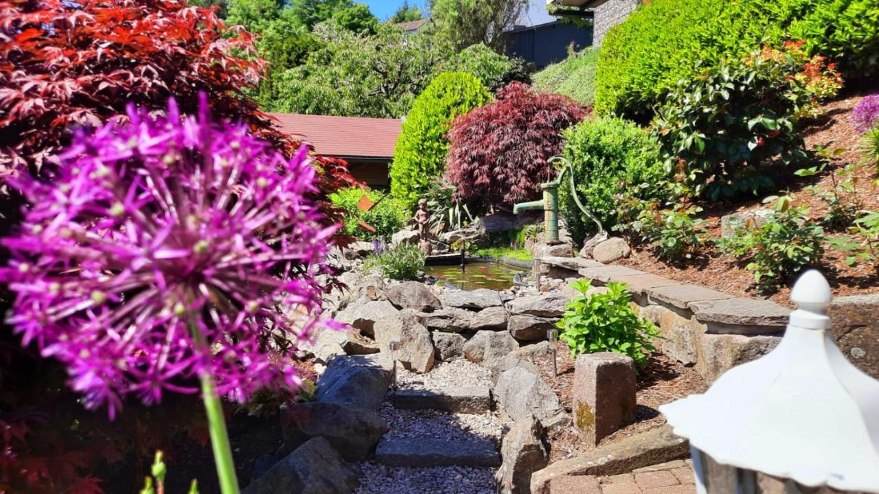 Hotel Gaestehaus Haaser Bad Peterstal-Griesbach Esterno foto